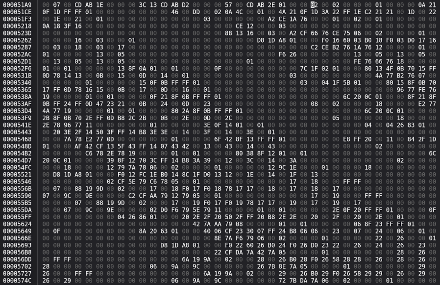The final unknown part of the savegame file